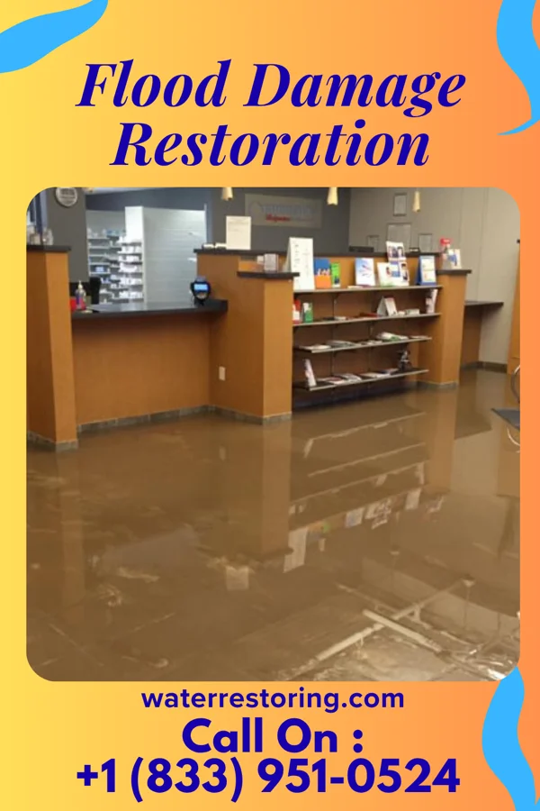 Flood Damage Restoration in Brookside, DE