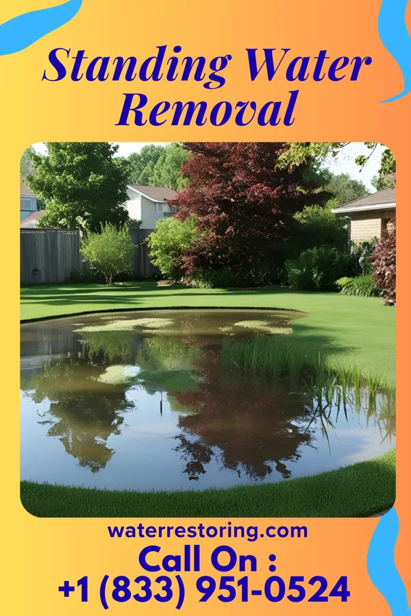 Standing Water Removal in Brookside, DE